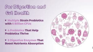 1785907972_maxresdefaultjpg - Affiliated Shops Infographic slide about digestion and gut health: three bullet points on probiotics, prebiotics, and digestive enzymes, with a cartoon circle of pink bacteria on the right.