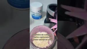 1788675565_maxresdefaultjpg - Affiliated Shops